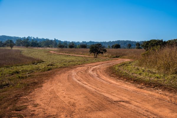Cost of Dirt Driveway Repair in Woodstock