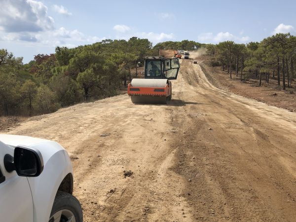 Cost of Driveway Grading in Woodstock