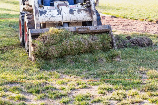 Cost of Landscape Leveling in Woodstock