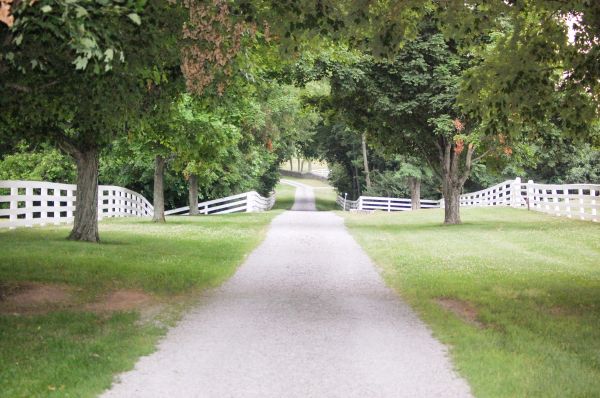 Cost of Gravel Road Installation in Woodstock