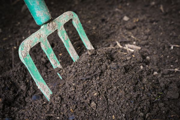 Cost of Topsoil Spreading in Woodstock