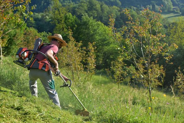 Cost of Slope Trimming in Woodstock